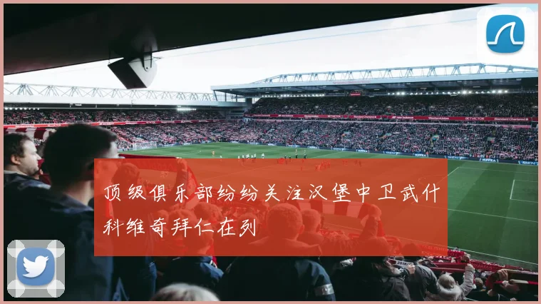 顶级俱乐部纷纷关注汉堡中卫武什科维奇拜仁在列