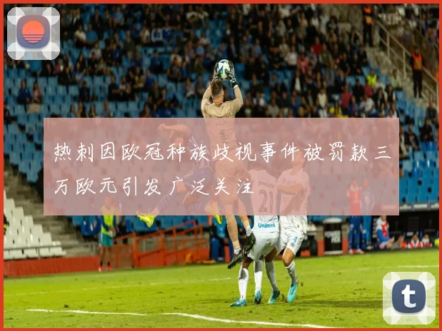 热刺因欧冠种族歧视事件被罚款三万欧元引发广泛关注