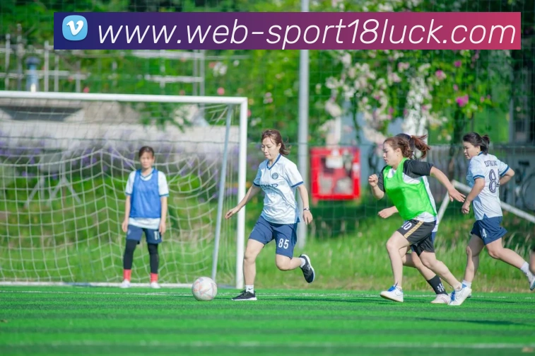 18新利体育发展历程